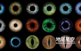 图片素材-眼球瞳孔虹膜图片素材