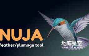 Blender预设-创建复杂羽毛工具 Nuja – Feather And Plumage Tools