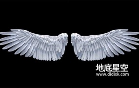视频素材-天使翅膀拍打1