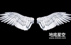视频素材-天使翅膀拍打2