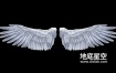 视频素材-天使翅膀拍打素材3