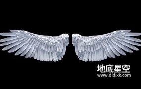 视频素材-天使翅膀拍打素材3