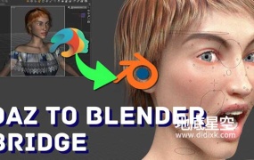blender/daz插件-daz文件直接导入blender中使用Diffeo DAZ Importer 1.6.2