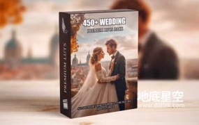 Luts预设-450个高级婚礼主题风格调色预设