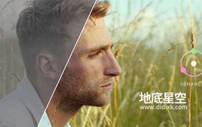 达芬奇插件-复古电影胶片噪点刮痕光效 Dehancer Pro OFX 7.1.3 CE Win一键安装