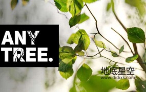 Blender插件-自定义植物形状插件 Anytree v2.0.2 – Trees With Any Shape