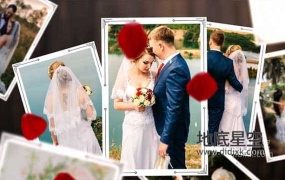 AE模板-唯美优雅的婚礼情人节照片展示动画