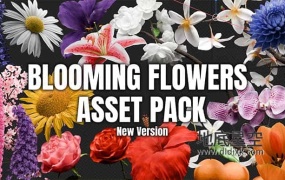 Blender预设-花朵开花动画资产预设 Blooming Flowers V2