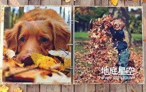 AE模板-唯美的秋季森林树叶照片幻灯片视频翻页相册动画