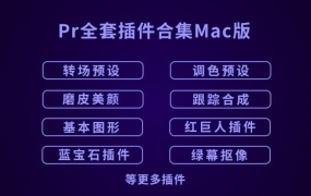 PR插件合集-Mac苹果版PR全套插件一键安装包合集包红巨人调色抠像光效降噪平面跟踪等插件