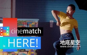 PR插件-摄像机色彩空间匹配调色插件 CineMatch v1.31 Win