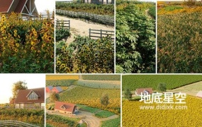 3D模型-15种177个农作物玉米麦子大麦小麦花生荞麦水稻豆子农作物模型