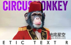 AE脚本-个性动态文字排版3D翻转动画 CircusMonkey V1.12