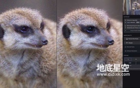 Topaz Photo Pro v1.0.1 AI人工智能图片放大软件Win/Mac