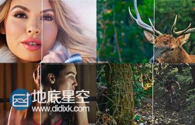 Pr预设：30种电影调色预设30+Cinematic+Color+Presets