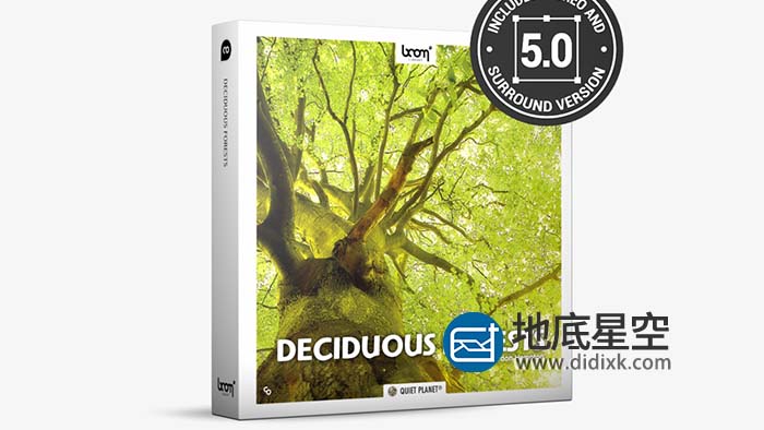 音效素材-192组森林环境虫鸣鸟叫大自然音效 Deciduous Forests