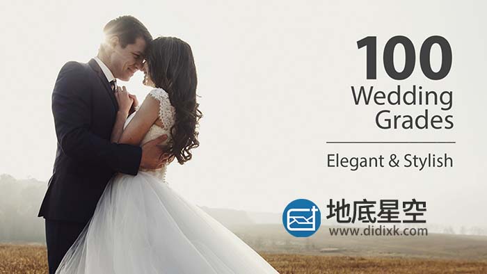 LUTS调色-100组婚礼视频LUTS调色预设 Wedding Color Corrections