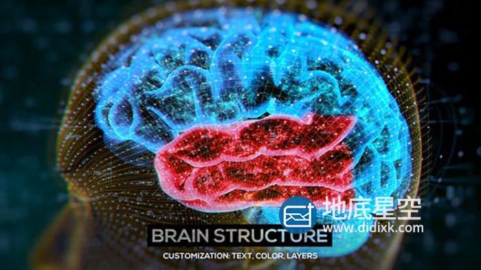AE模板-大脑结构介绍HUD解剖学生物学医学演示教育科学机构人脑神经元