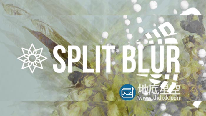 AE/PR插件-万花筒风格模糊 Aescripts Split Blur V1.0.2