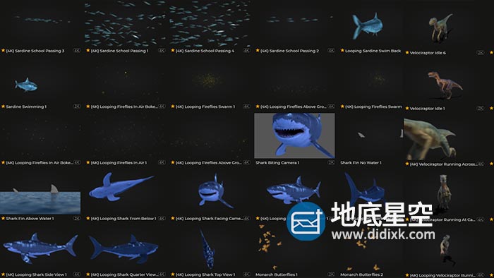 视频素材-恐龙鲨鱼鸟类蛇动物