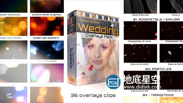 视频素材-婚礼唯美花瓣粒子光晕光效美化叠加素材
