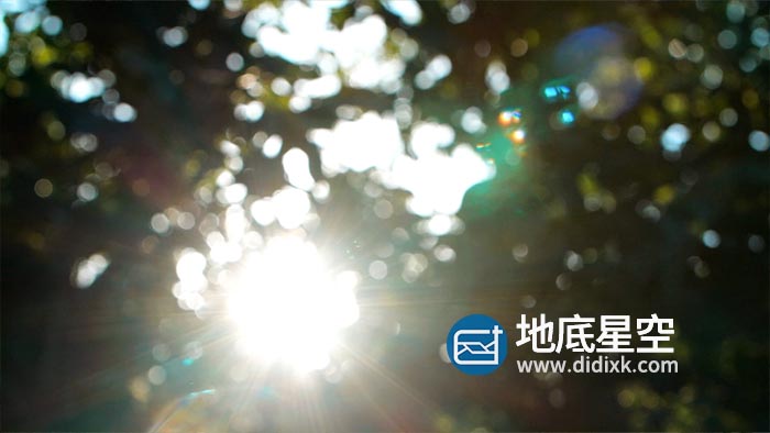视频素材-实拍清晨傍晚阳光穿透树林视频