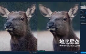 图片降噪去颗粒处理清晰软件 Topaz DeNoise AI V3.4.2 Win