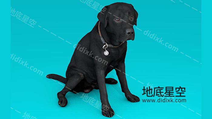 3D模板-大黑狗动物C4D模型