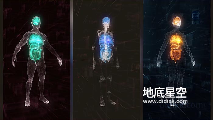 AE模板-HUD科技感人体男性身材女性身材大脑心脏肝肺肠9个医疗场景动画