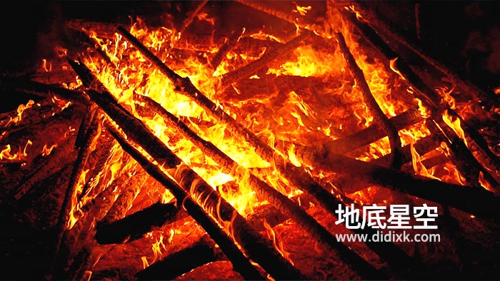 视频素材-原木的大篝火在森林的夜晚燃烧