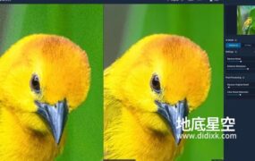 图片降噪去颗粒处理清晰软件 Topaz DeNoise AI 3.6.0 Win