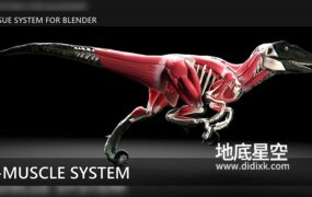 Blender插件-肌肉系统模拟工具 X-Muscle System 2.47