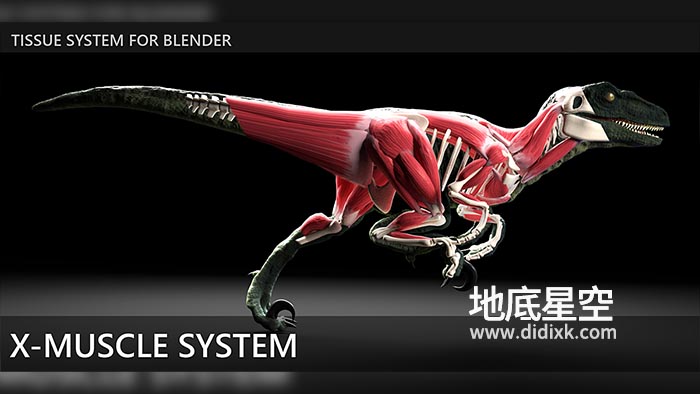 Blender插件-肌肉系统模拟工具 X-Muscle System 2.47