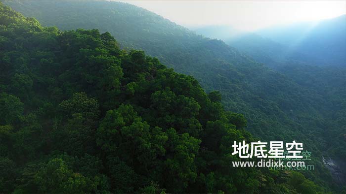 视频素材-航拍俯瞰震撼大气的绿色森林