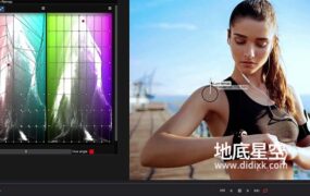 达芬奇/AE/PR/PS调色插件套装 False Color 3.80/Nobe Color Remap 1.83/Nobe Display 1.5.3 Win/Mac