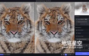 图片无损放大变清晰锐化软件 Topaz Photo AI v1.1.4 Win