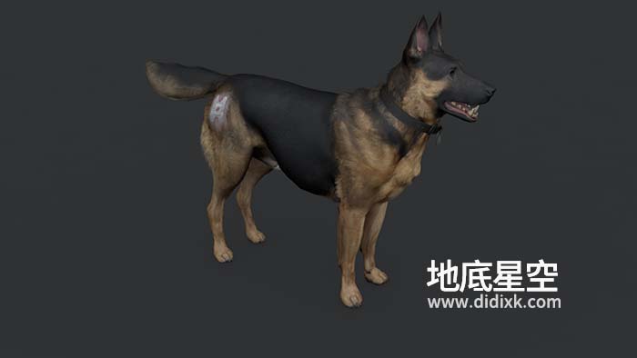 3D模型-阿尔萨斯狼狗德国牧羊犬德国黑背