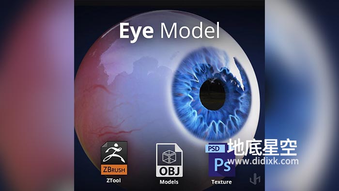 3D模型-眼球模型