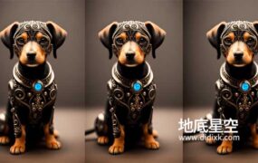 一只穿戴金属的可爱小狗