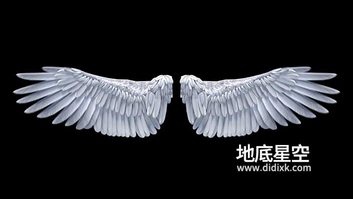 视频素材-天使翅膀拍打素材3