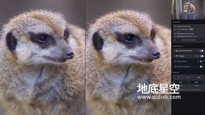 Topaz Photo Pro v1.0.1 AI人工智能图片放大软件Win/Mac
