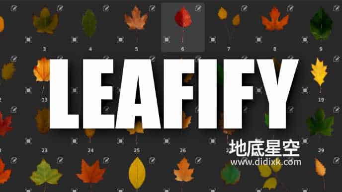 Blender预设-叶子贴图预设 Leafify – 40 Leaf/Leaves Texture Alphas