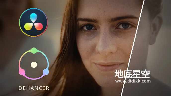 达芬奇插件-复古电影胶片模拟特效 Dehancer Pro v7.4.0 Win