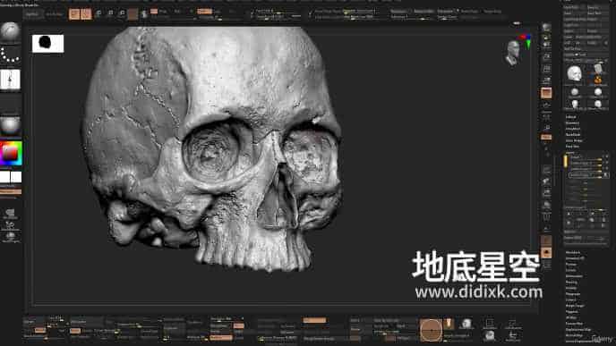 ZBrush教程-中文/英文字幕头骨雕刻解剖结构基础教程